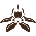 The Blessed Seed Coupon Codes
